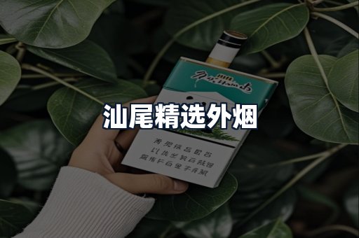汕尾精选外烟